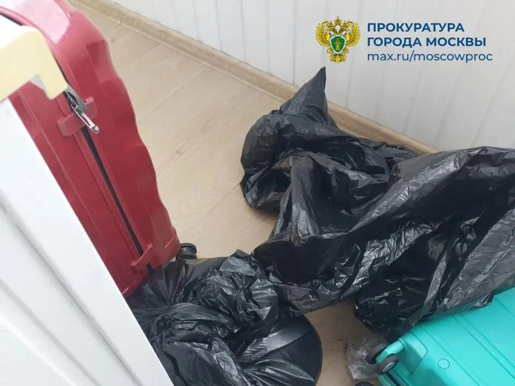 Вместе с москвичкой, найденной расчлененной в квартире, убита ее дочь