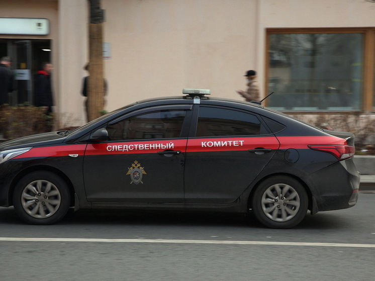 В Челябинске обнаружили тело женщины под окнами многоэтажки