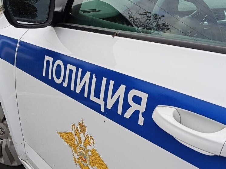 В Подмосковье подростки готовили убийство шестиклассника почти неделю