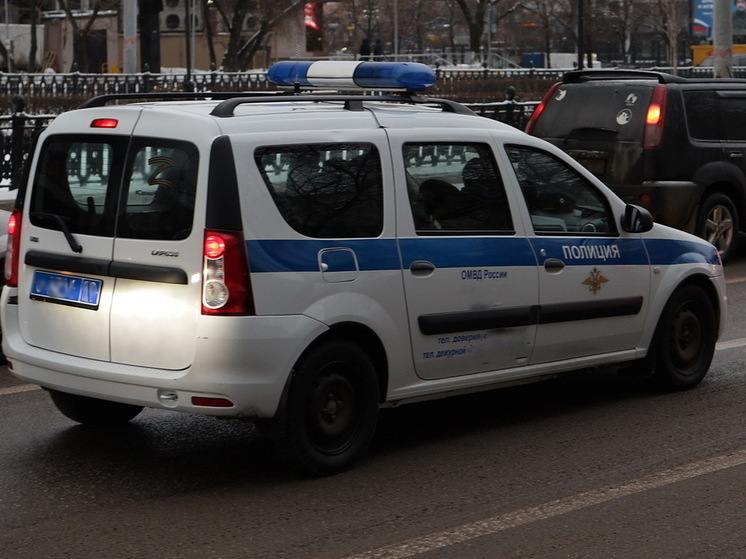 В Москве мужчина избил свою 79-летнюю мать и оставил ее в подъезде