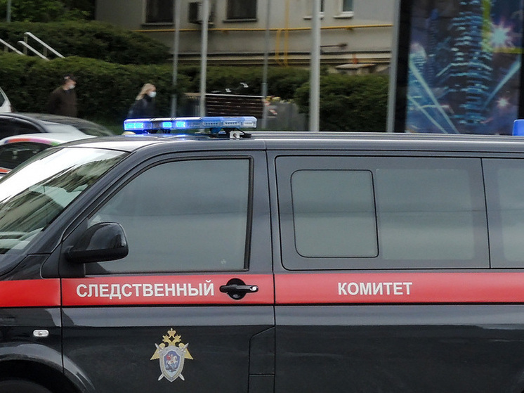 Выяснились подробности гибели 3-летнего пассажира на питбайке